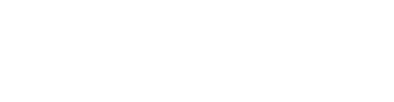 Logo Vandelli bianco